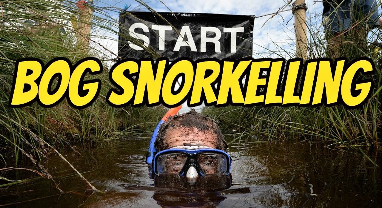 Snorkelling In A Bog